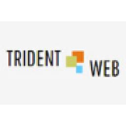 Trident Web Infoservices Pvt. Ltd. Logo