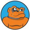 Online Visibility Pros Logo