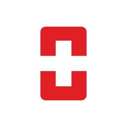 The Swiss Digital Logo
