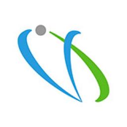 Virtueinfo Soft Web PVT LTD Logo