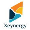 Xeynergy™ Logo