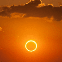 the Project House Logo