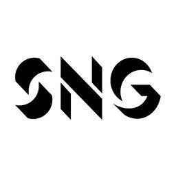 SNG (Formerly Network Homes) Logo