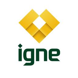 Igne Logo