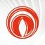Immergas S.p.A. Logo