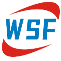WSF Technology Co., Ltd Logo