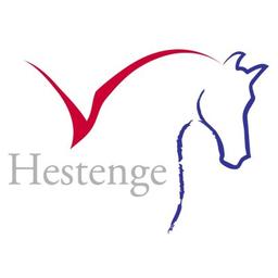Hestenge Consult Logo