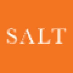 SALT Advertising Group Logo