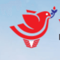 Vegin Global Express Logo