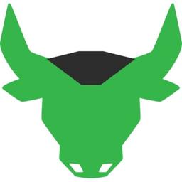 Designing Bulls Logo