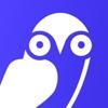 Boring Owl Logo