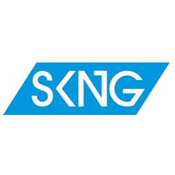 SKNG Services Logo