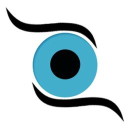 OptiRise Software Pvt Ltd Logo