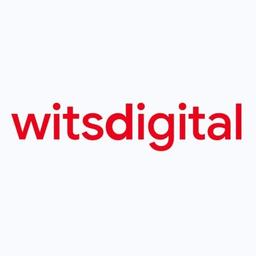 WITS DIGITAL PVT LTD Logo