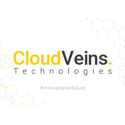 Cloud Veins Technologies Logo