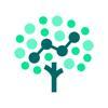 Sure Oak Logo