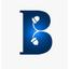 Brandingnuts Logo