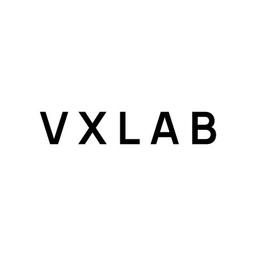 VXLAB Brand Building Logo