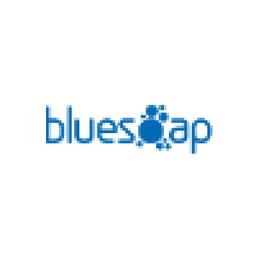 BlueSoap Website Design Logo