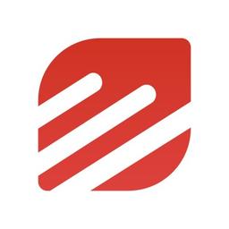 SEO Experts Company India (a brand of Visibility Gurus) Logo