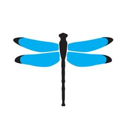Dragonfly Digital Marketing Logo