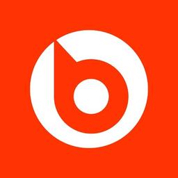 Brandoo Advertising Logo