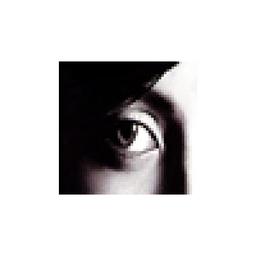 New World Productions Logo