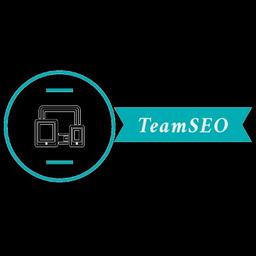 TeamSEO - Digital Marketing Company Logo