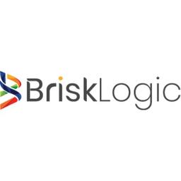 Brisk Logic - Delivered Fast and Cost-Effective Logo