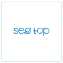Seo Top Logo