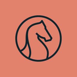 Velvet Marketing Consultants Logo