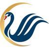 Cyber Swan Marketing Management Logo