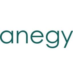 Anegy Digital Consulting Logo
