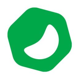 Websome Logo