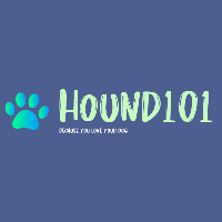 Hound101 Logo