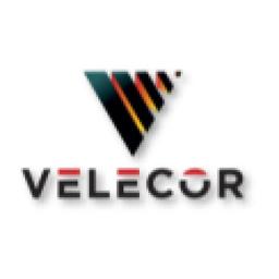 Velecor Services Logo