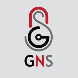 GulfNet Solutions Company Limited (GNS) Logo
