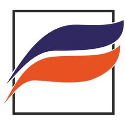 AVNS Technosoft Logo