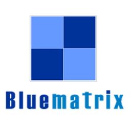 Bluematrix Consultancy Private Limited Logo