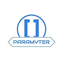 Paramyter Tech Logo