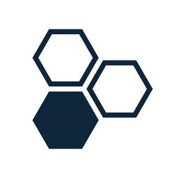 Synthesis Software Technologies Logo