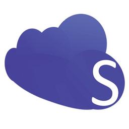 Skynats Technologies Logo