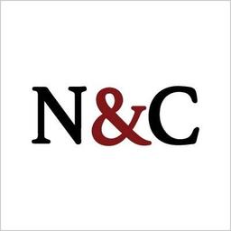 Nangia & Co LLP Logo