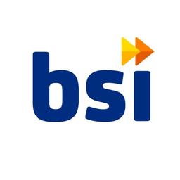 BSI Group of Companies Logo