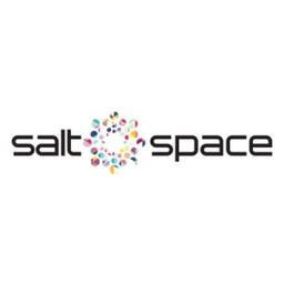 Salt Space Logo