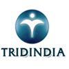 TridIndia IT Translation Services Pvt.Ltd Logo