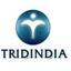 TridIndia IT Translation Services Pvt.Ltd Logo