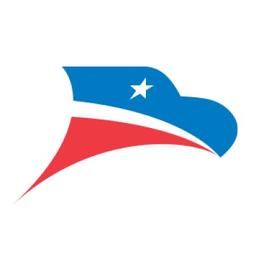 Diligent Delivery Systems Logo