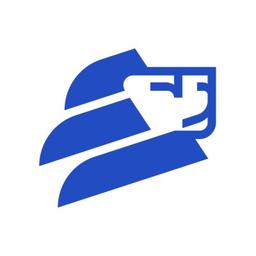 Lemberg Solutions Logo