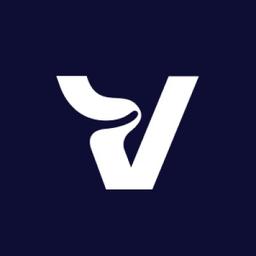 Varvision Logo